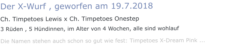 Der X-Wurf , geworfen am 19.7.2018  Ch. Timpetoes Lewis x Ch. Timpetoes Onestep 3 Rüden , 5 Hündinnen, im Alter von 4 Wochen, alle sind wohlauf Die Namen stehen auch schon so gut wie fest: Timpetoes X-Dream Pink ...