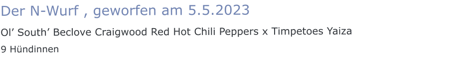 Der N-Wurf , geworfen am 5.5.2023 Ol’ South’ Beclove Craigwood Red Hot Chili Peppers x Timpetoes Yaiza 9 Hündinnen