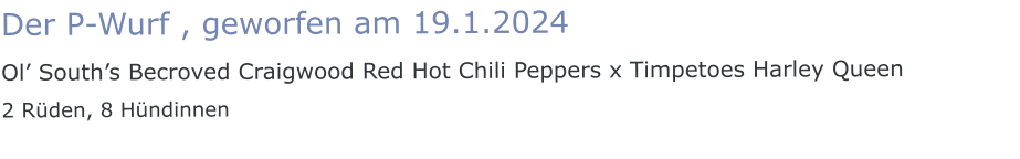 Der P-Wurf , geworfen am 19.1.2024 Ol’ South’s Becroved Craigwood Red Hot Chili Peppers x Timpetoes Harley Queen 2 Rüden, 8 Hündinnen